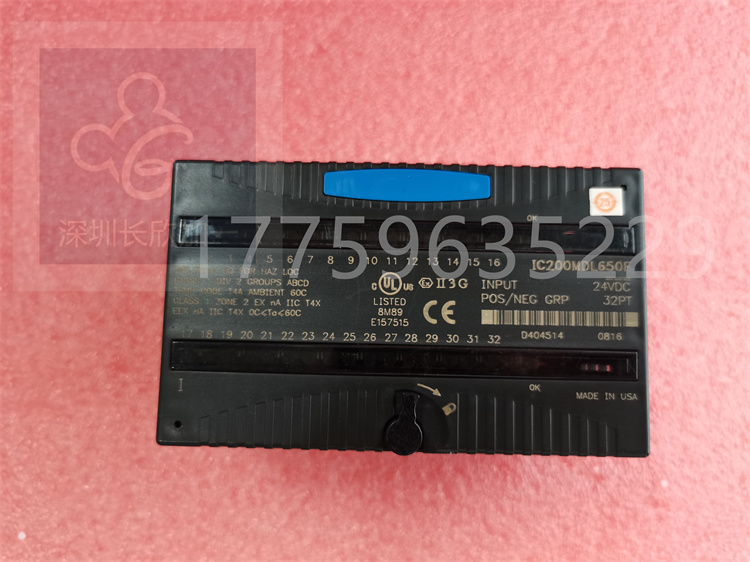 GE  IC200ALG264  VersaMax 模拟输入模块